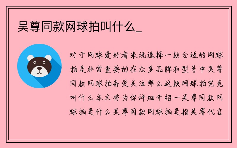 吴尊同款网球拍叫什么_