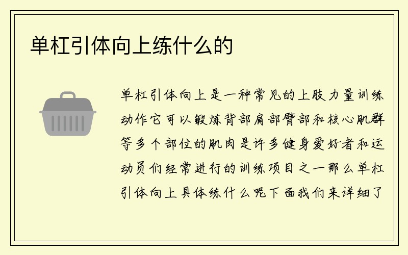 单杠引体向上练什么的