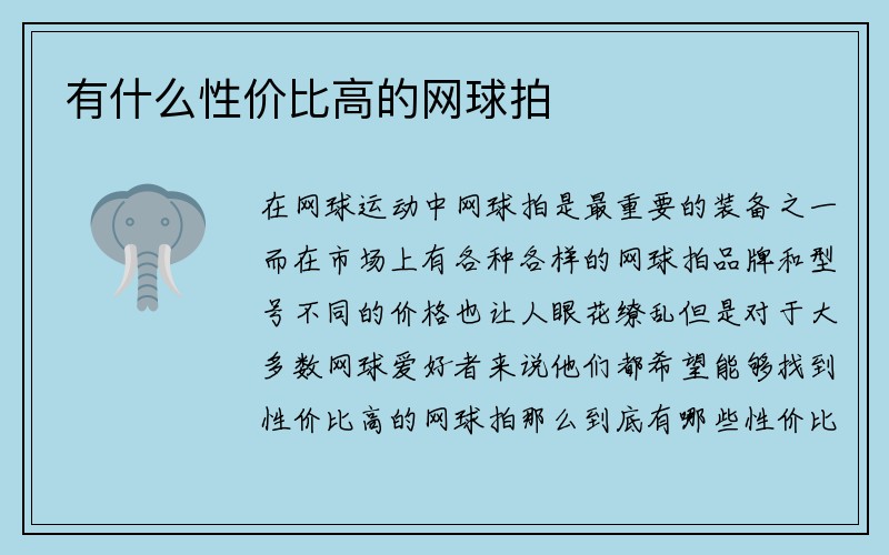 有什么性价比高的网球拍